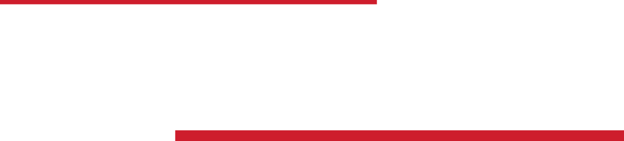 Micro batteries. Maximum impact.