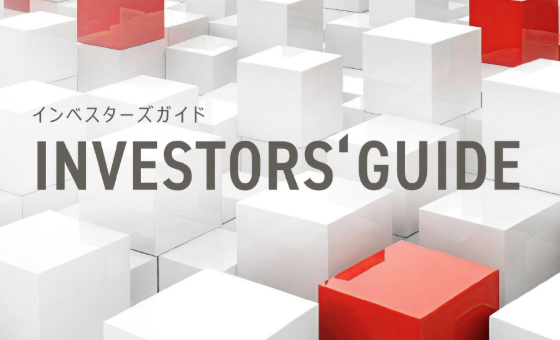 Investor's Guide