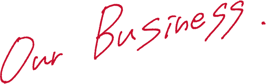 OUR BUSINESS