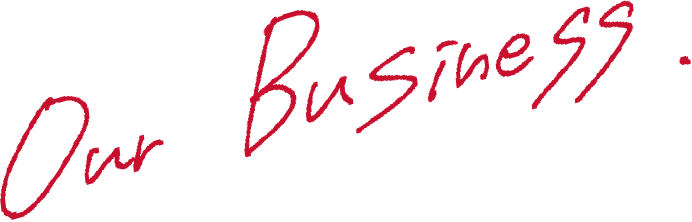 Our Business